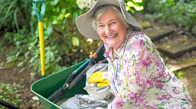 Beach volleyball or lawn bowling: Ideal sport for older adults?