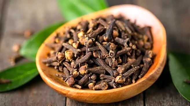 Why cloves are great for your respiratory health
