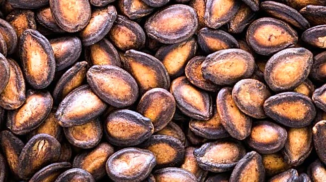 5 vegetarian dishes that use melon seeds