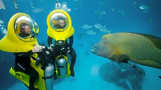 Underwater scooter safaris: Top spots and tips