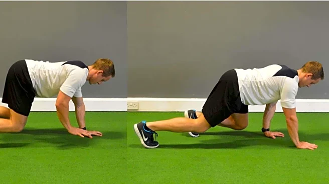 Bear crawl exercise: What it is exactly