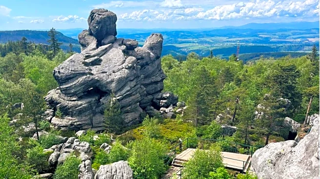 If Poland is on your mind, keep reading