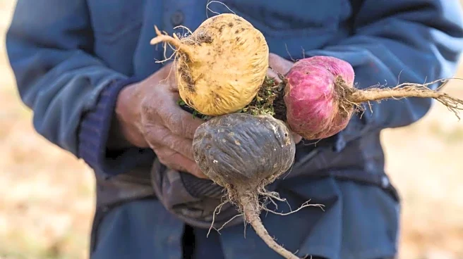 This Peruvian superfood is a foodie's favorite