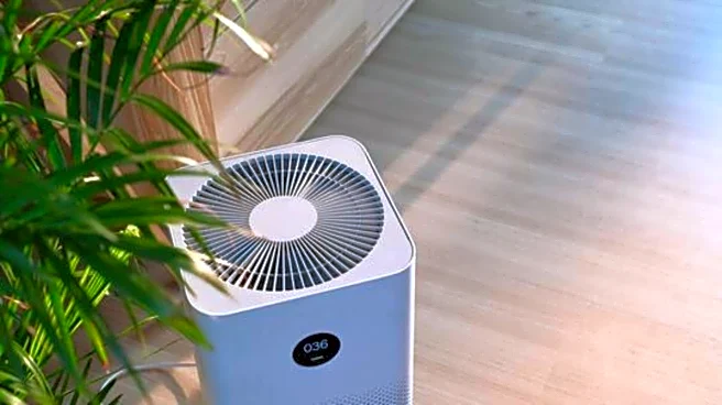 Are home air purifiers really effective?
