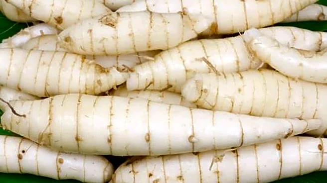 Arrowroot powder: 5 health benefits you didn't know