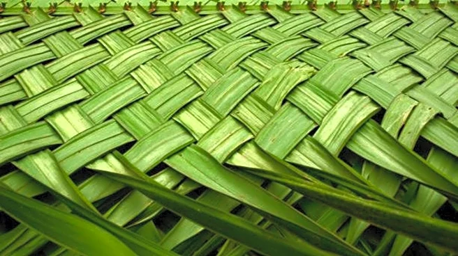 How modern artists are redefining palm leaf weaving