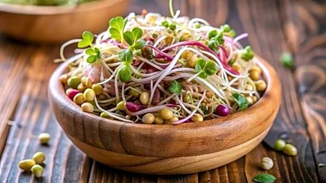 Salad lovers, try this quick mixed sprouts recipe