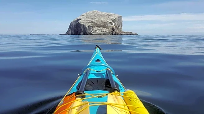 Ocean kayaking: Top spots, tips, and more