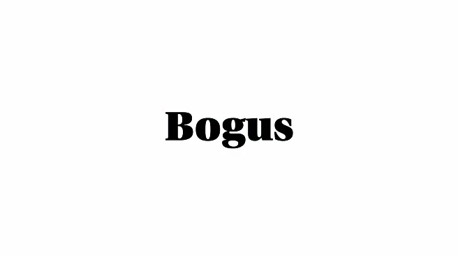 Word of the Day: Bogus