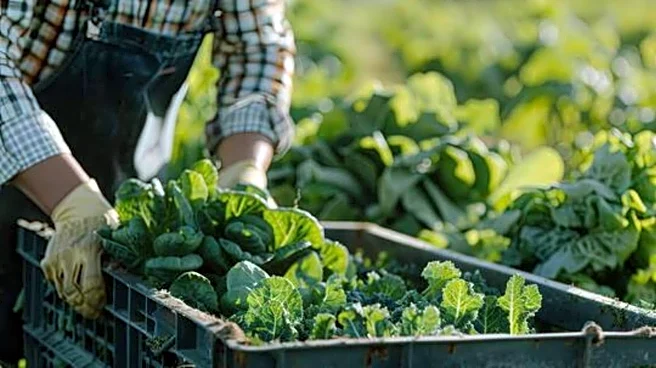 How farmers preserve seasonal produce