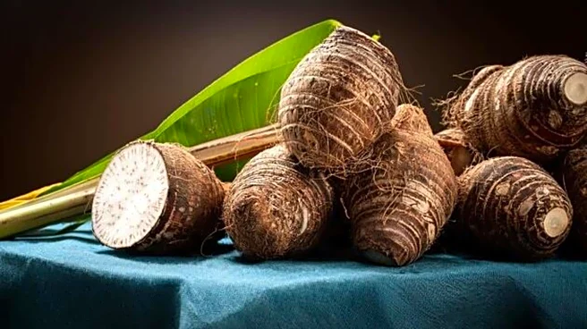How to use taro root in cooking