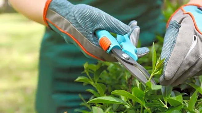 5 must-have tools for indoor gardening