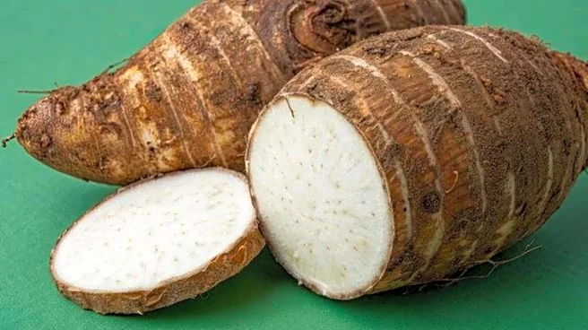 Try these dishes featuring cocoyam