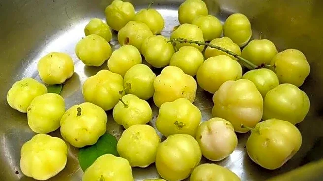 Ever tasted star gooseberry?