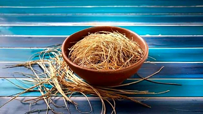 Add an exotic twist to your dishes with vetiver