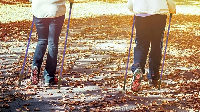 Is shadow boxing better for endurance than Nordic walking?