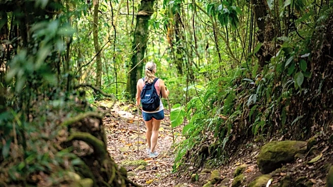 If hiking captivates you, consider visiting Barcelona