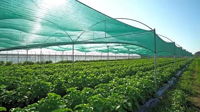 How to repurpose greenhouse shade cloth