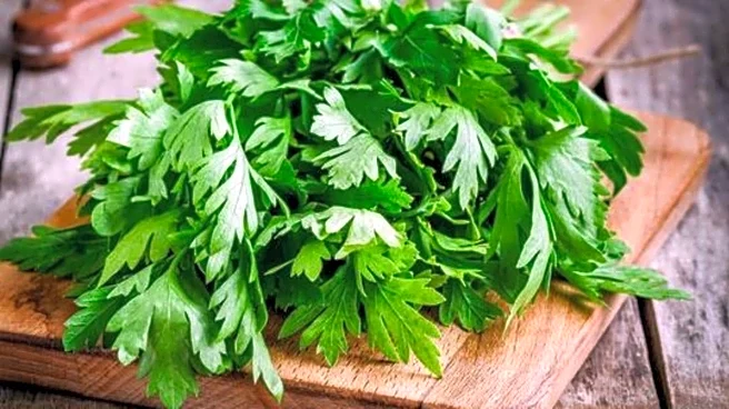 5 traditional dishes where parsley shine
