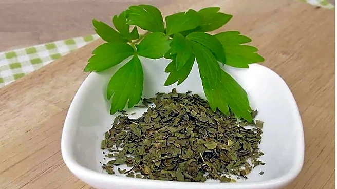 Elevate your dishes by adding this aromatic herb