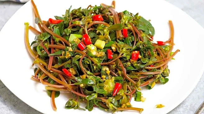 Purslane: Add tanginess to your dishes with this succulent plant