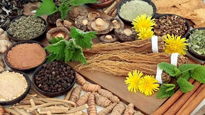 What are adaptogens?