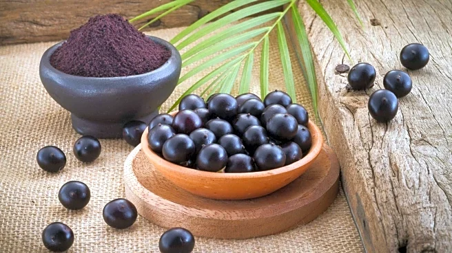 Acai berries: Why this Brazilian fruit is becoming popular