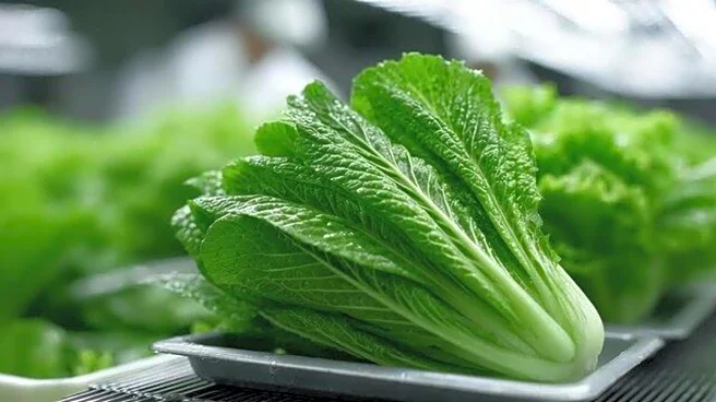 Make simple meals shine with mustard greens