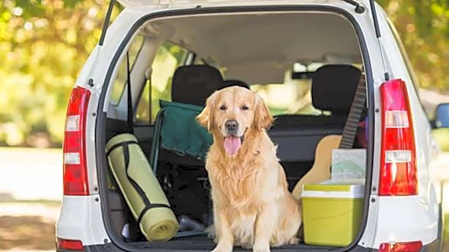 How to plan a perfect vacation with your pet