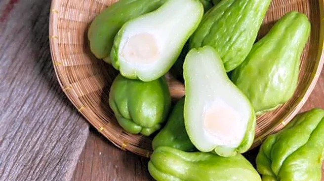 What is chayote?