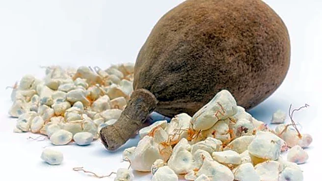 What exactly is baobab pulp?