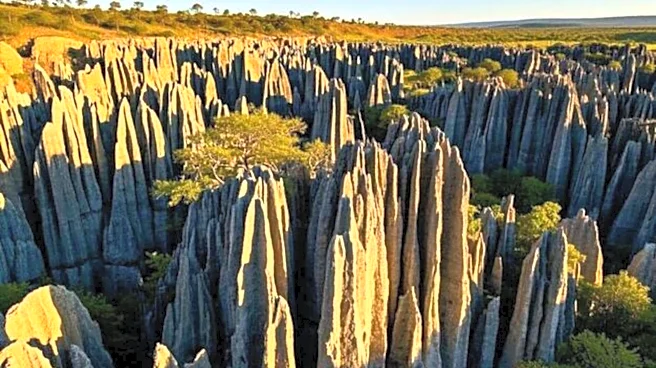Tsingy de Bemaraha: A geological marvel in Madagascar