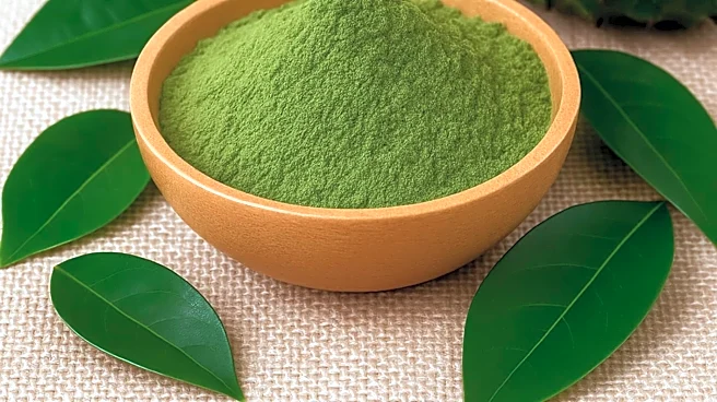 Graviola leaves: Why this superfood must be in your diet