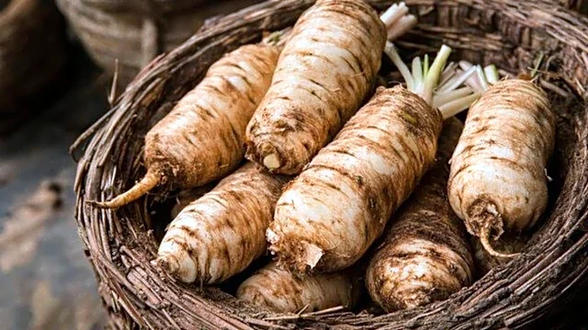 Why you must add arrowroot to your diet