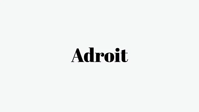 Word of the Day: Adroit