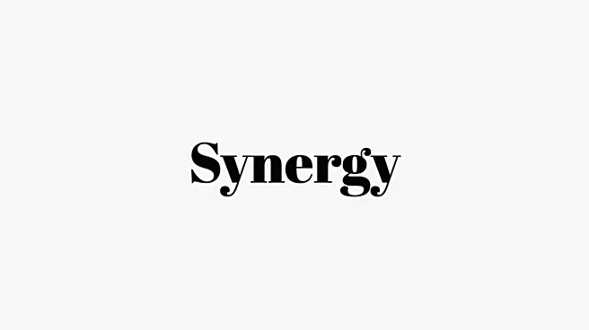 Word of the Day: Synergy
