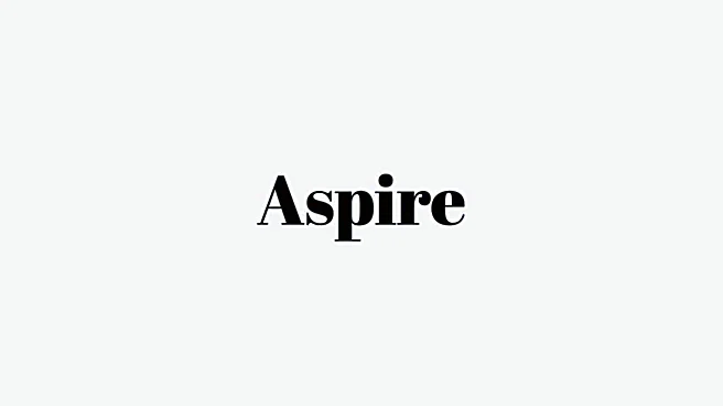Word of the Day: Aspire