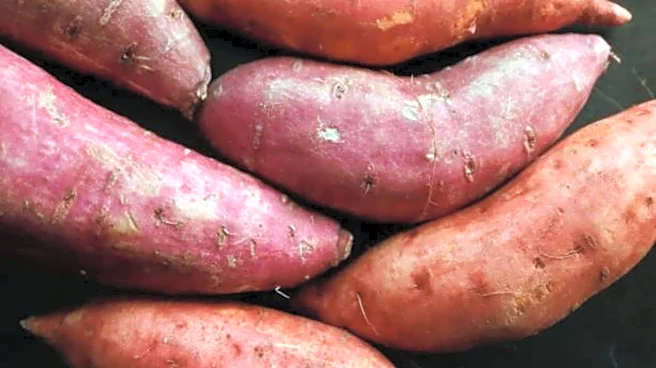 5 skincare benefits of yam peel