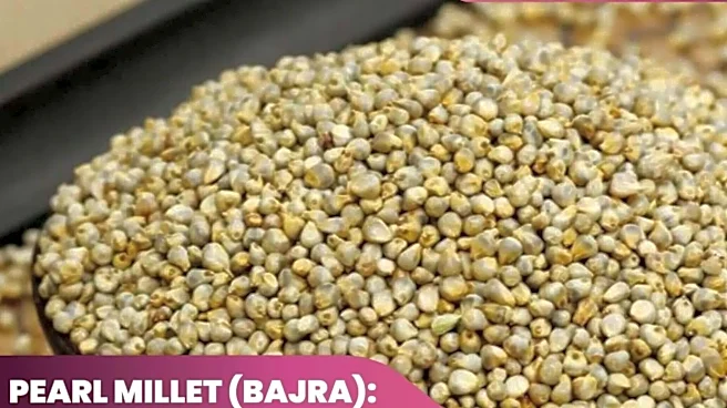 Pearl millet v/s barley: Which has more protein?