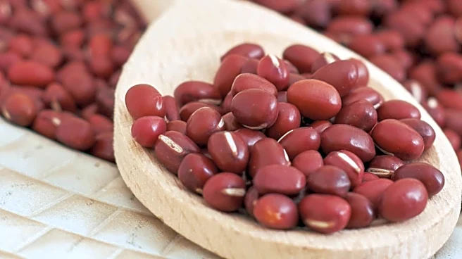 Adzuki beans: All about these nutrient-rich small legumes