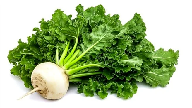 Why you should start eating turnip greens
