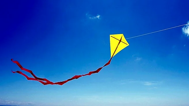 Kite flying is not just a fun activity