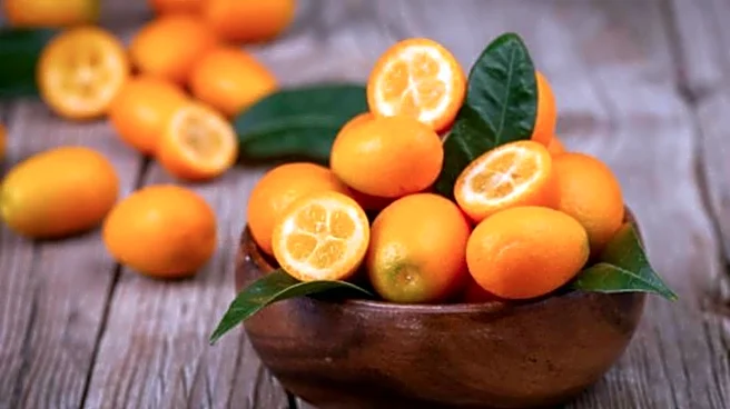 Kumquats: A superfruit you need to try