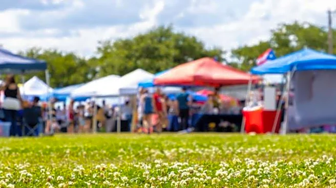 How to explore open-air markets