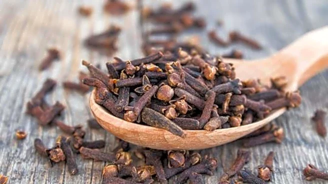 Clove: Your natural remedy for seasonal allergies
