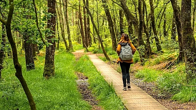 How spending time in nature can boost your well-being