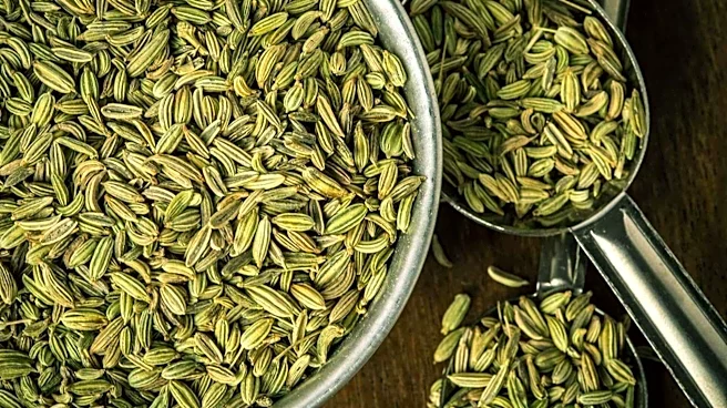 How fennel seeds-honey combo makes your digestive system healthy