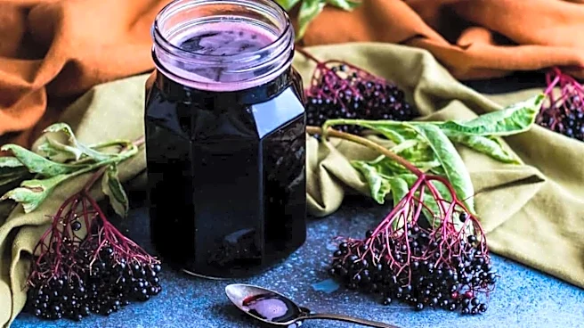 How to make delicious dishes with elderberry