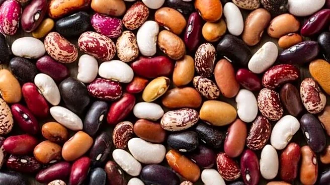 Upgrade your cooking with these lesser-known beans