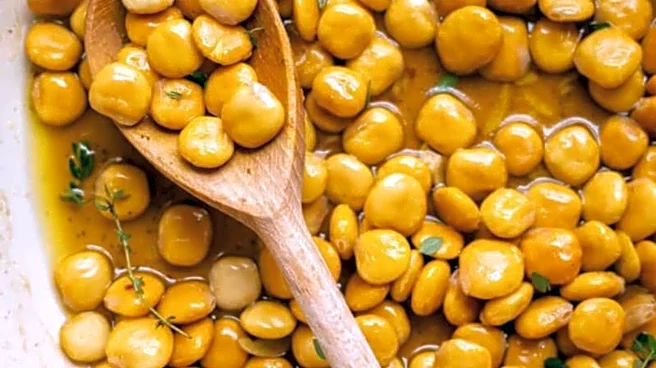 Lupin beans: The superfood you need in your daily meals